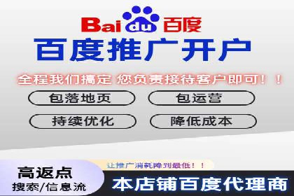 实战解析：SEM网络推广成功案例分享